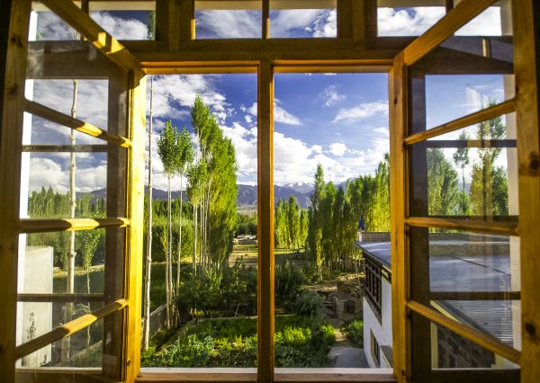 Wood Window Replacement in Golden