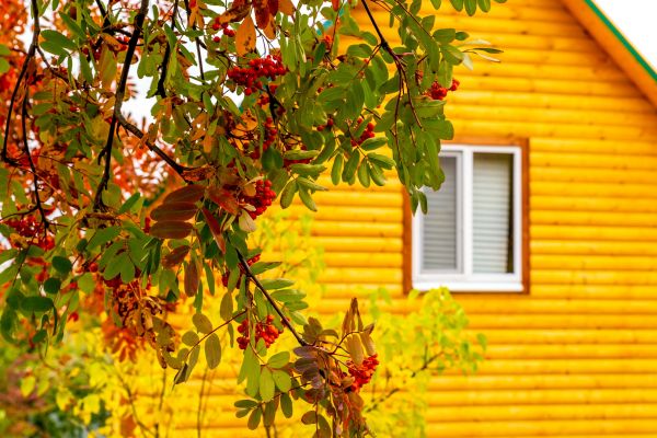Garden Window Replacement in Golden